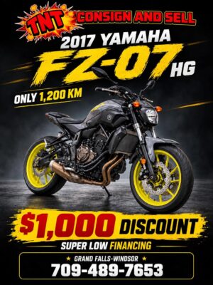 2017 Yamaha FZ-07HG