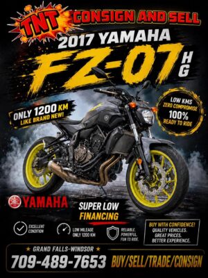 2017 Yamaha FZ-07HG