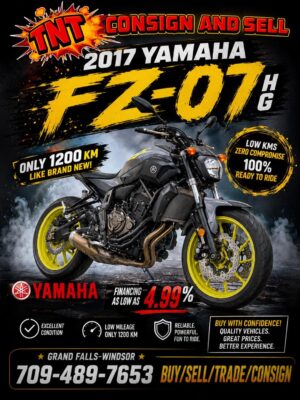 2017 Yamaha FZ-07HG