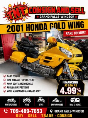 2001 Gold Wing