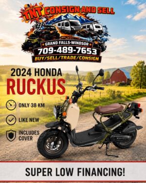 2024 Honda Ruckus
