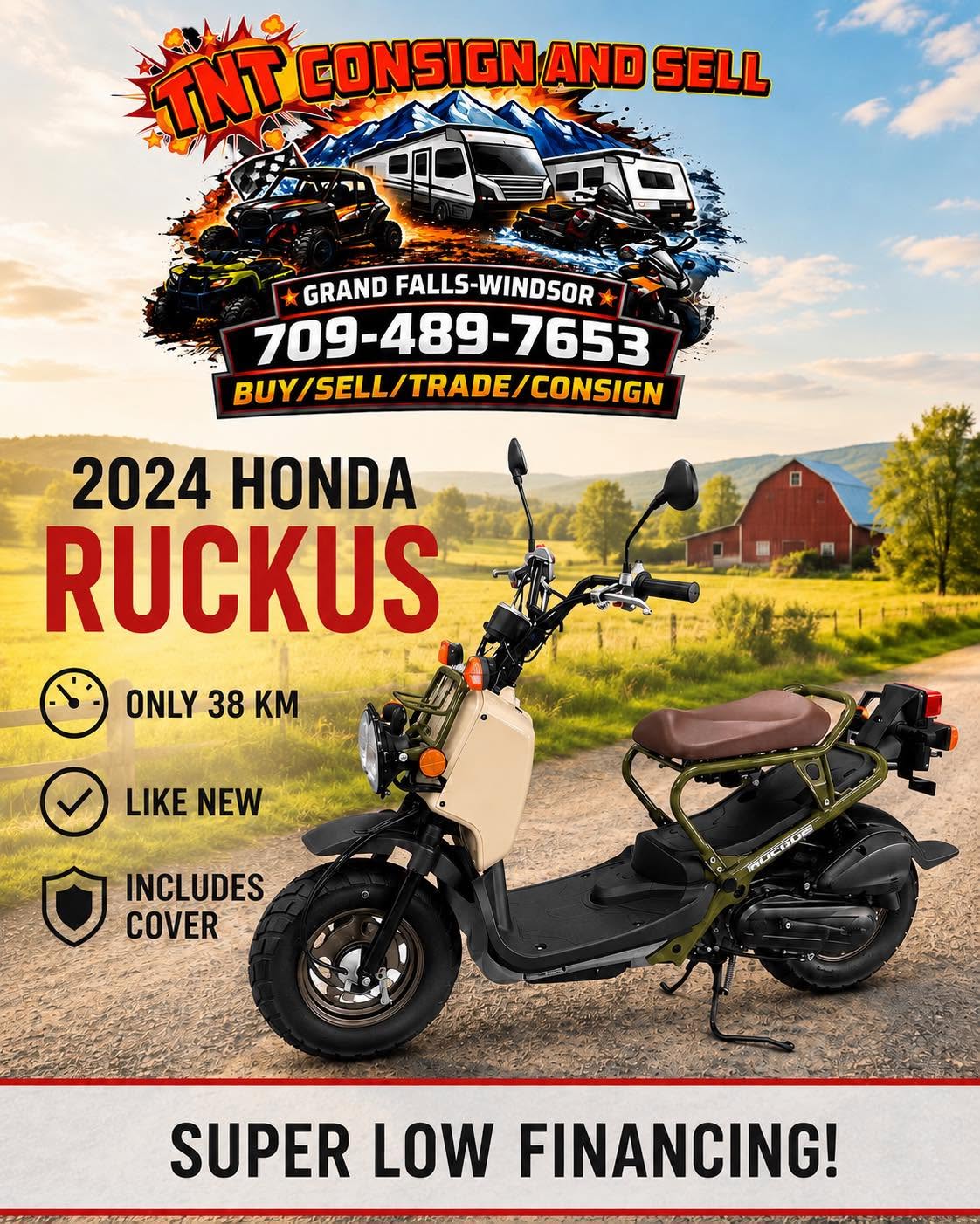 2024 Honda Ruckus