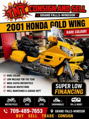 2001 Gold Wing