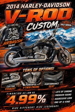 2013 Harley Davidson V Rod