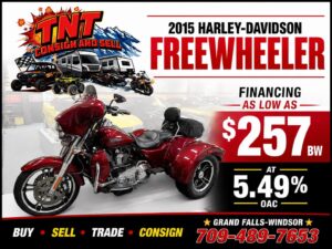 2015 HARLEY-DAVIDSON FREEWHEELER FLRT
