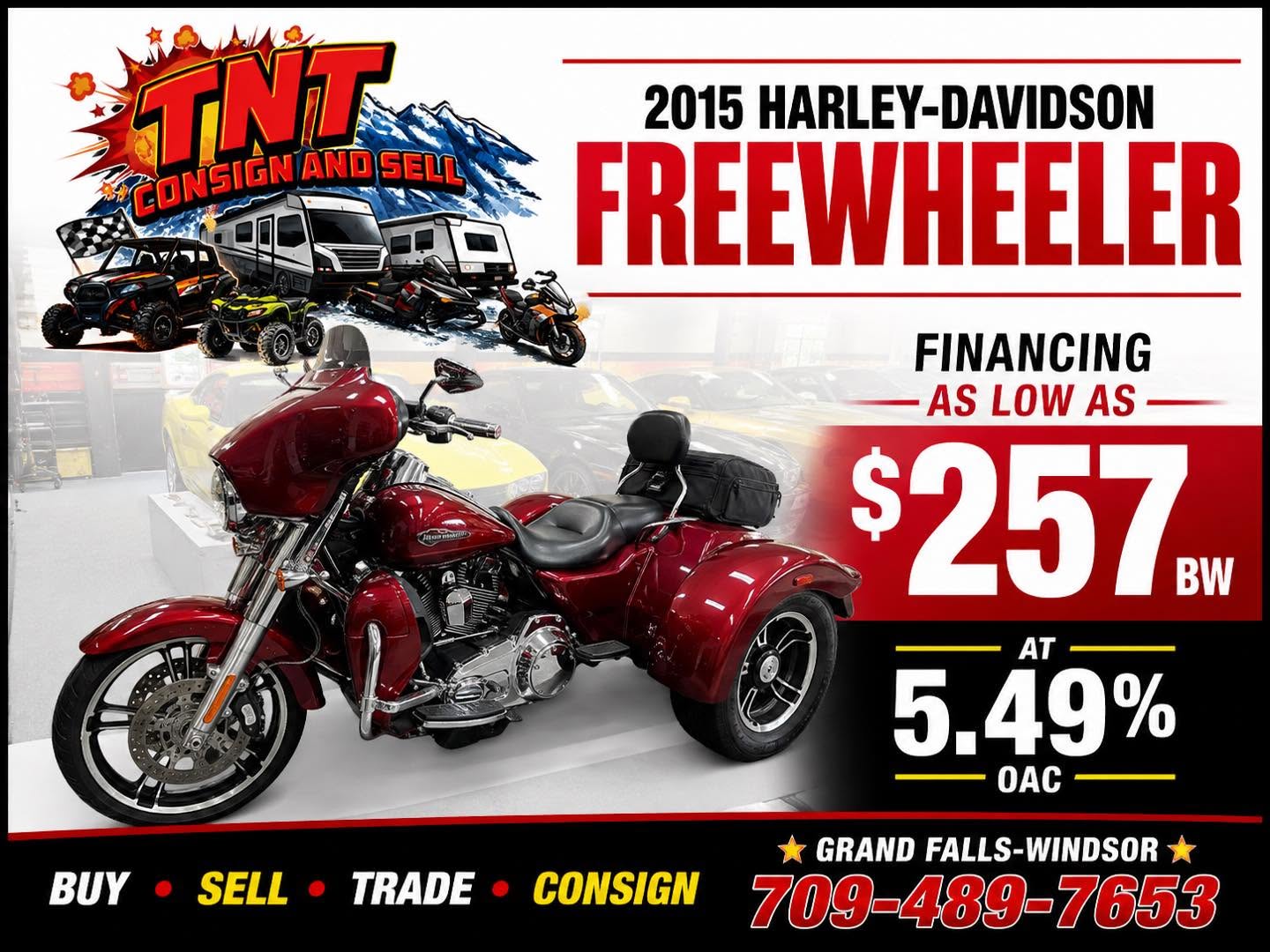 2015 HARLEY-DAVIDSON FREEWHEELER FLRT