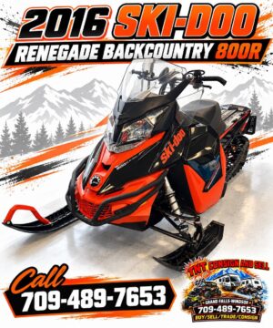 2016 skidoo backcountry 800 R