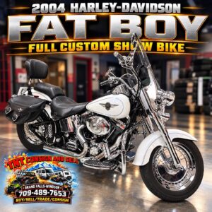 2004 Harley Davidson FATBOY full custom