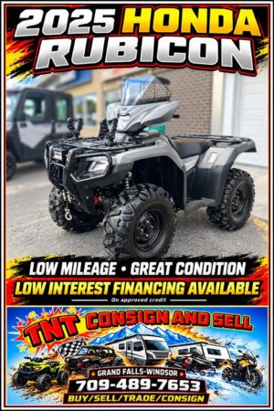 2025 Honda Rubicon 520