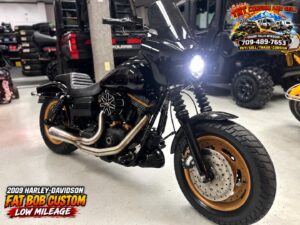 2009 Harley Davidson Fat Bob