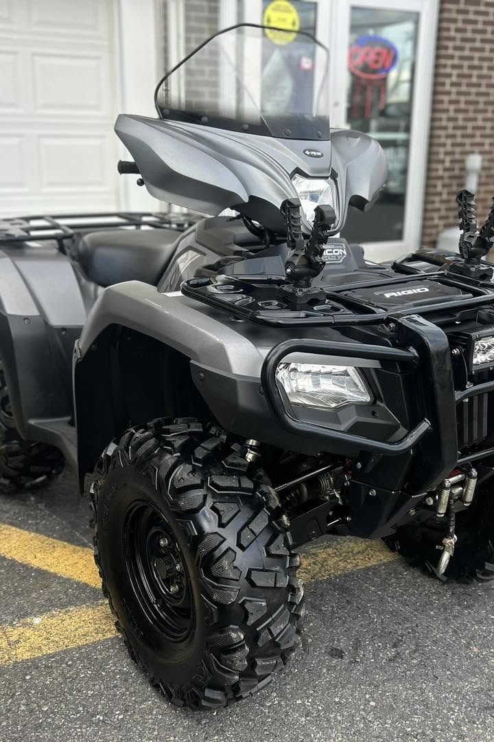 2025 Honda Rubicon 520 - Image 2